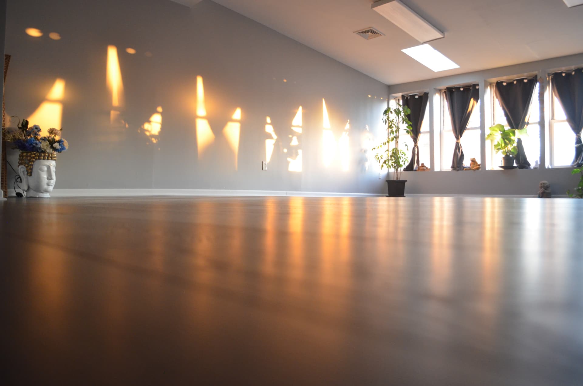 Image of our East Brunswick Yoga Studio at sunset with lots of natural light, plants, and open space for practicing yoga, pilates and meditation